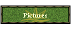 Pictures